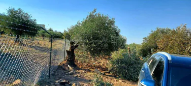 أرض في قرب مسجد سيحان ب ٥٠٠متر   - 25,000 دأ - صورة NaN