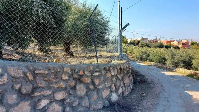 أرض في قرب مسجد سيحان ب ٥٠٠متر   - 25,000 دأ - صورة 1