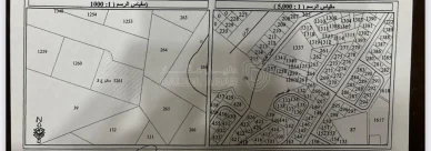 أرض في شارع الأردن – أبو نصير - 120,000 دأ - صورة NaN