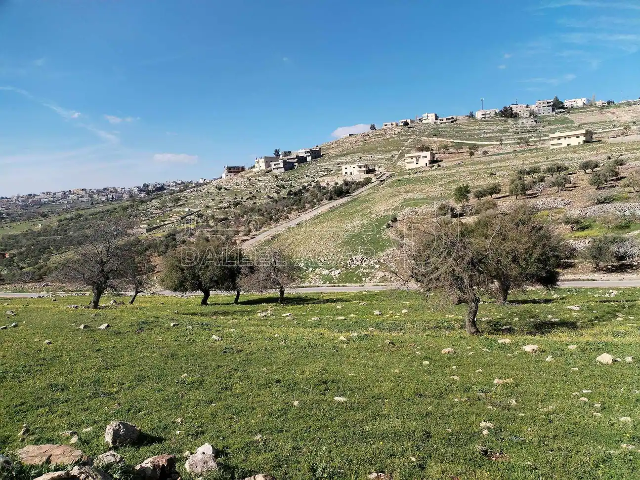 أرض في عجلون منطقة راسون تلم الأربعين  - 17,000 دأ - صورة 1