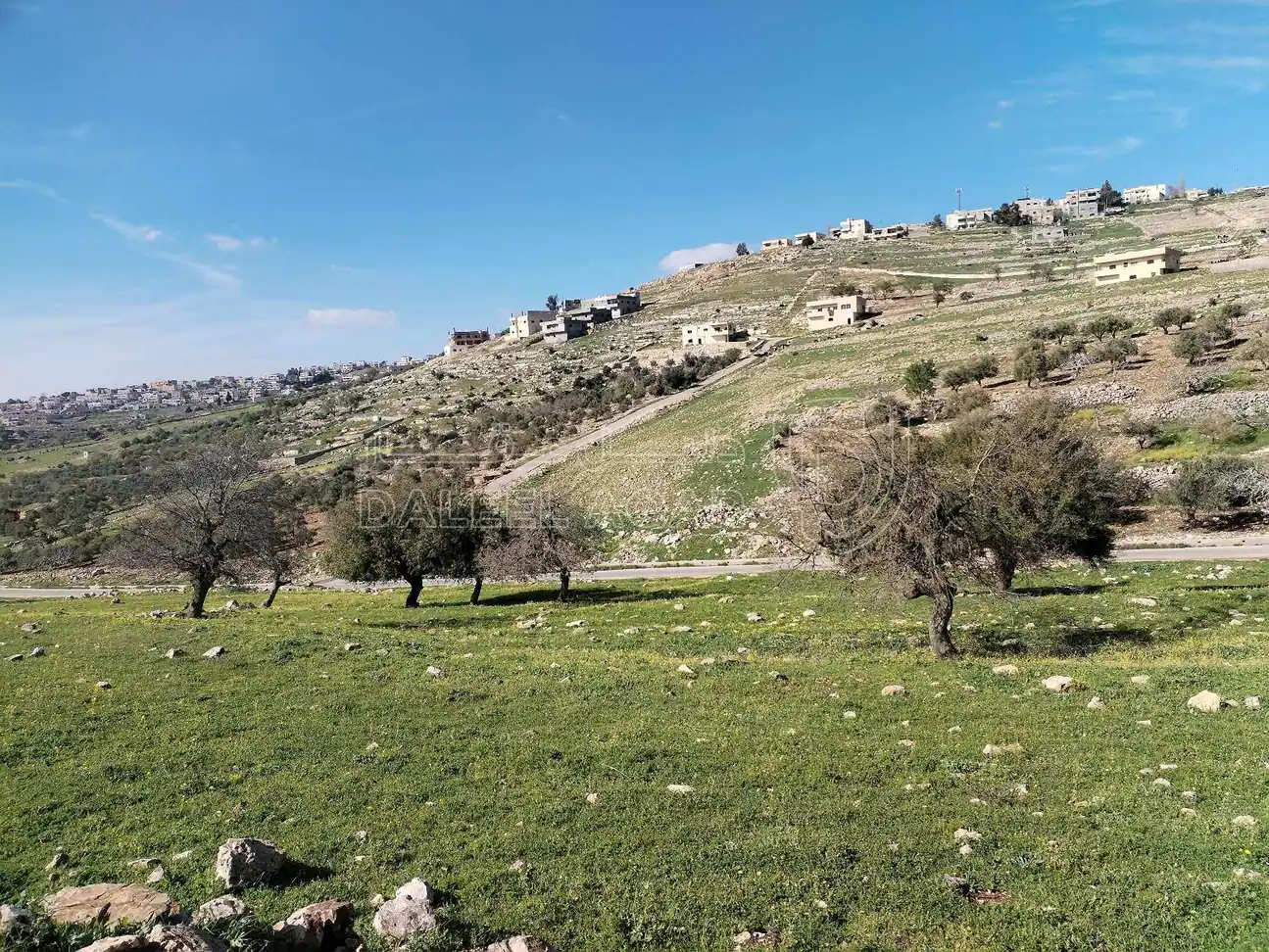 أرض في عجلون منطقة راسون تلم الأربعين  - 17,000 دأ - صورة 1