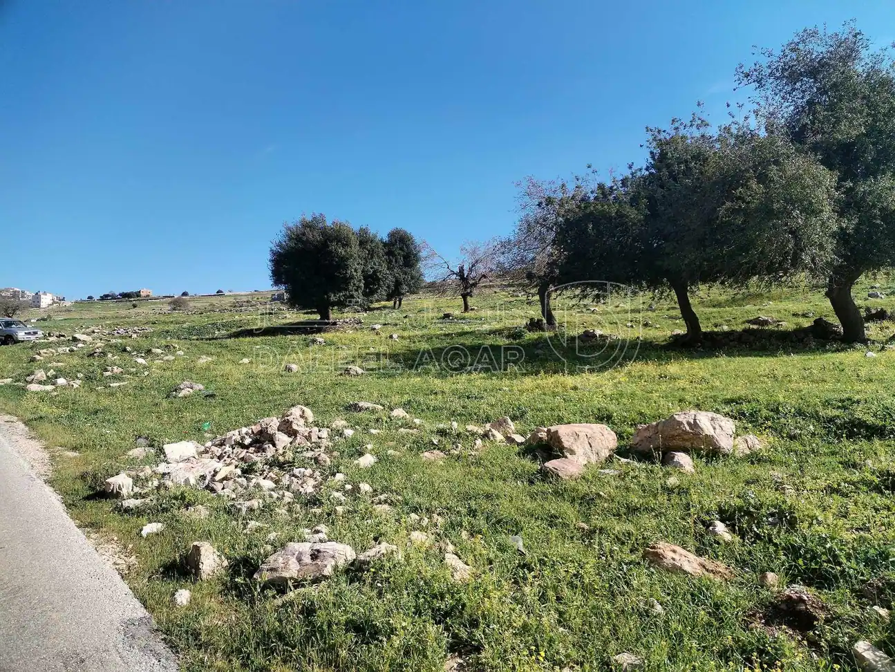 أرض في عجلون منطقة راسون تلم الأربعين  - 17,000 دأ - صورة 1