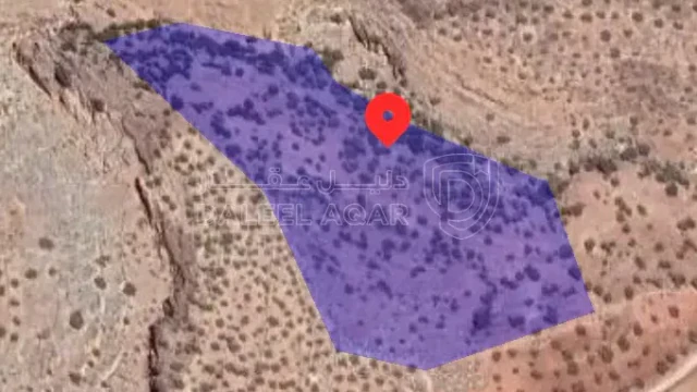 أرض في عجلون  - 48,000 دأ - صورة 1