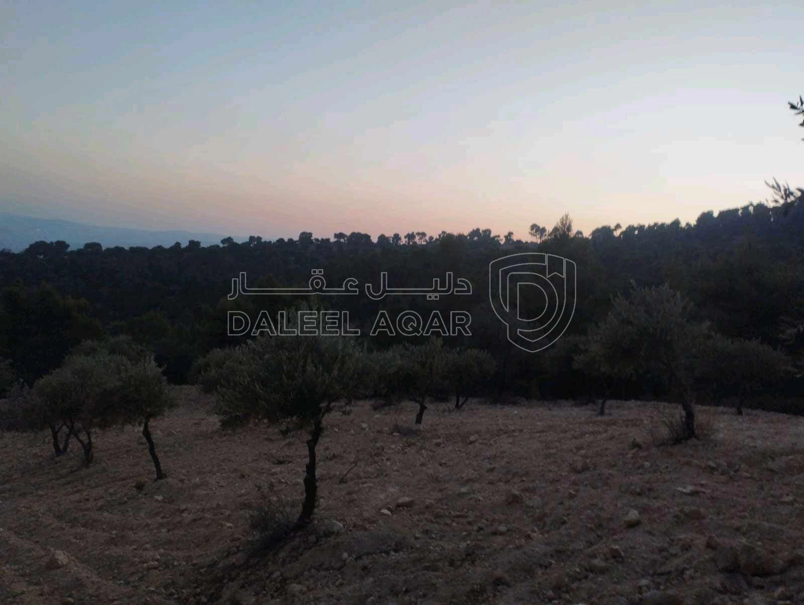 مزرعة/شاليه في جرش الجزاز  بقرب دبين ومحمية الغزلان - 160,000 دأ - صورة 1