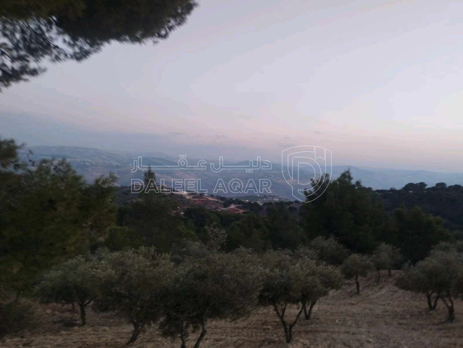 مزرعة/شاليه في جرش الجزاز  بقرب دبين ومحمية الغزلان - 160,000 دأ - صورة 1