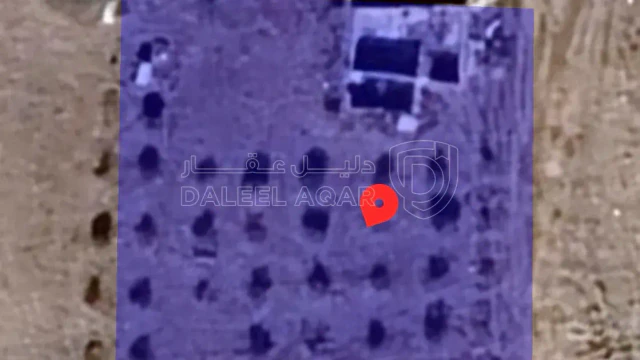 أرض -  ‏ اربد ماصية ‏قرن الجاموس - 115000 دأ