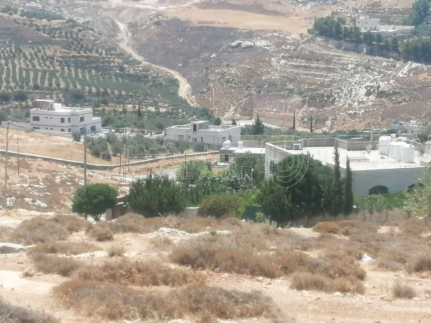 أرض في ناعور - ابوغزلان - قرب مسجد أبوبكر الصديق - 60,000 دأ - صورة 1