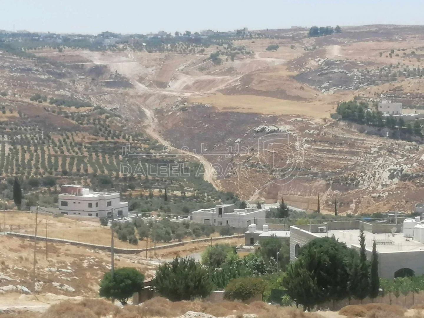 أرض في ناعور - ابوغزلان - قرب مسجد أبوبكر الصديق - 60,000 دأ - صورة 1