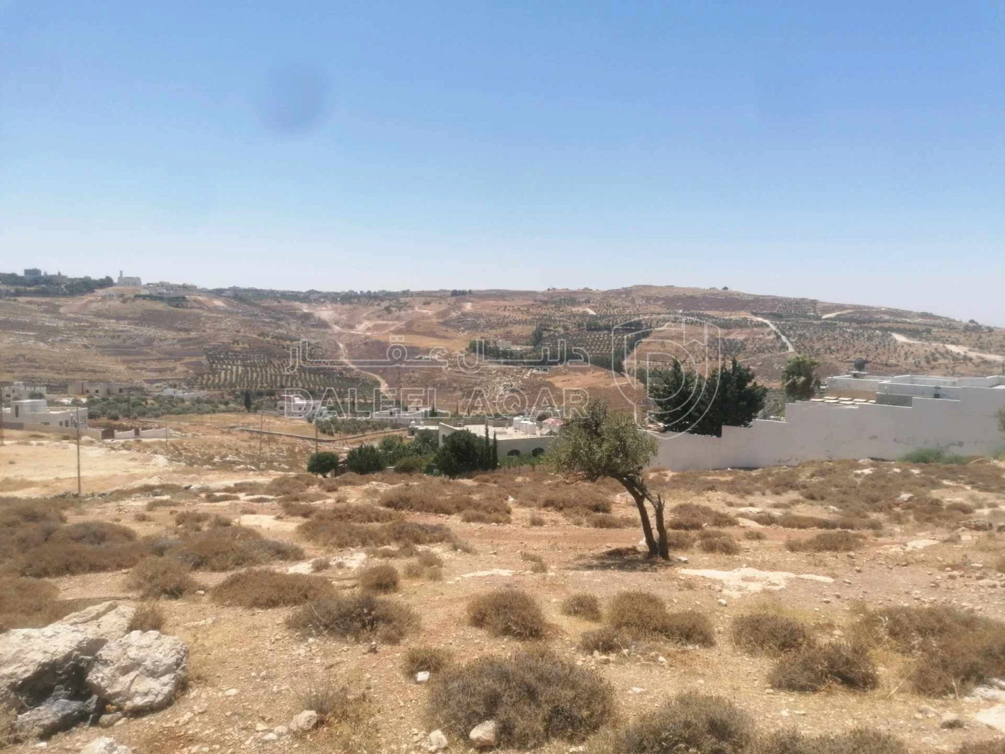 أرض في ناعور - ابوغزلان - قرب مسجد أبوبكر الصديق - 60,000 دأ - صورة 1