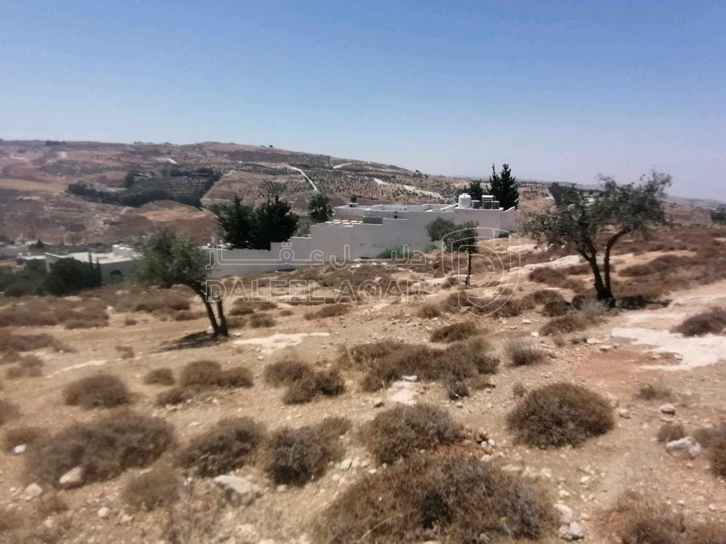 أرض في ناعور - ابوغزلان - قرب مسجد أبوبكر الصديق - 60,000 دأ - صورة 1