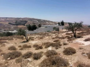 أرض في ناعور - ابوغزلان - قرب مسجد أبوبكر الصديق - 60,000 دأ - صورة NaN