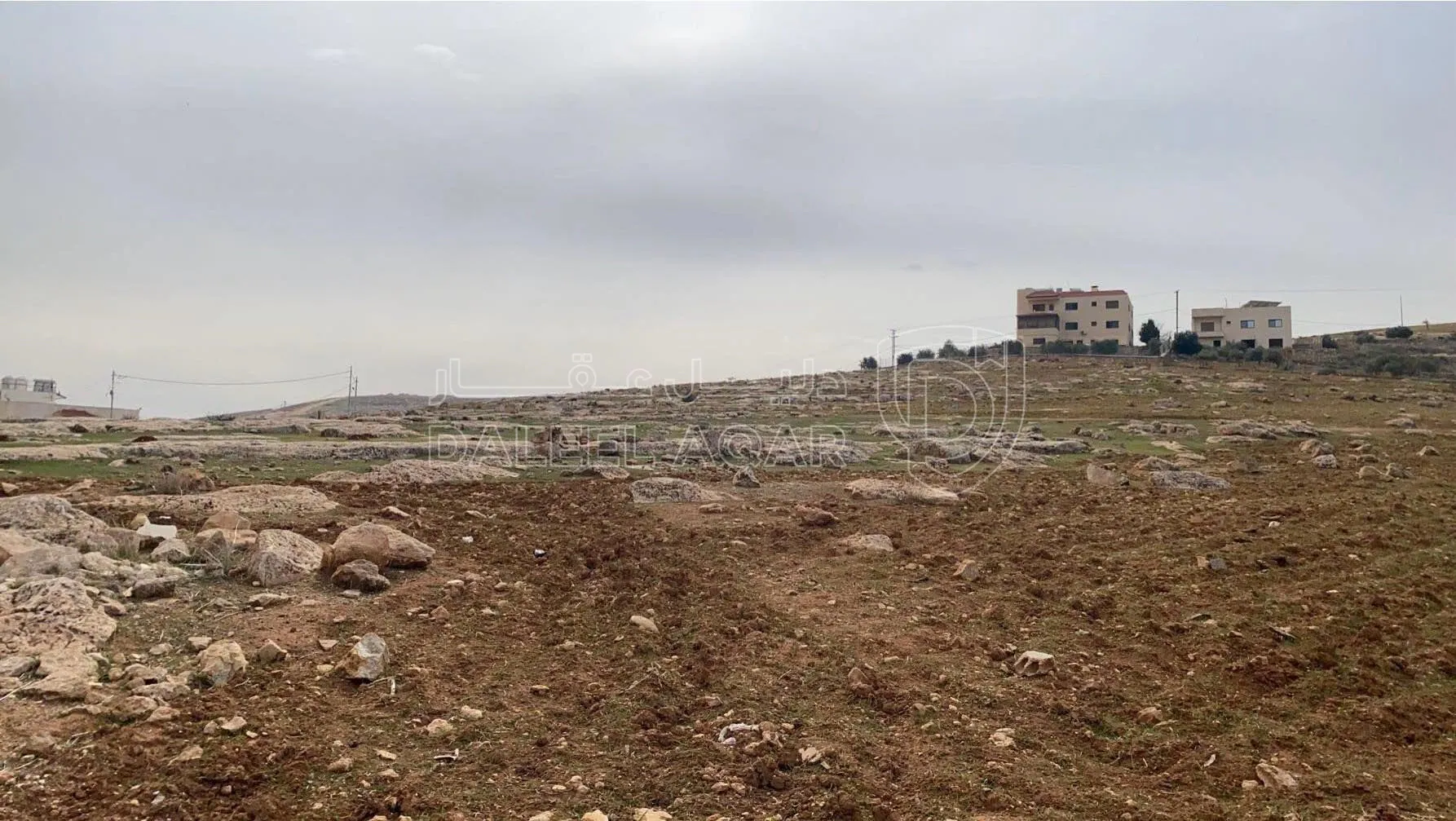 أرض في ارض للبيع من المالك مباشره في شفابدران - 85,000 دأ - صورة 1