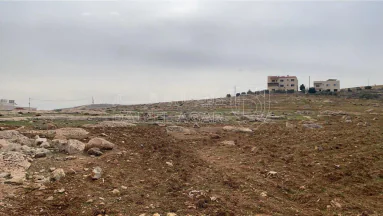 أرض في ارض للبيع من المالك مباشره في شفابدران - 65,000 دأ - صورة NaN