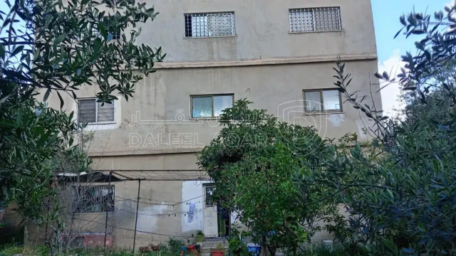 مبنى - اربد شارع فلسطين بالقرب من مدرسة خولة للبنات  - 70000 دأ