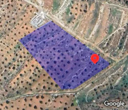 أرض - جرش جبا خربه قريع - 60000 دأ