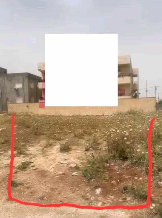 أرض في الصريح سلمان الجنوبي قريب شارع البتراء  - 50,000 دأ - صورة 1