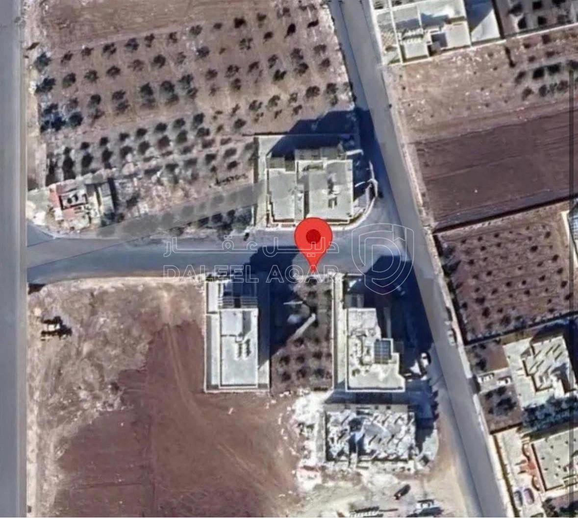 أرض في اربد حواره / شارع البترا ، اشارة الصريح  - 75,000 دأ - صورة 1