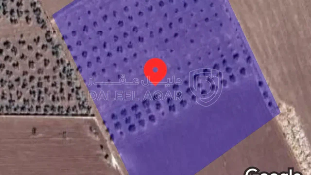 أرض - عمان/ الغبية جنوب جامعة الزيتونة ٣،٥كم - 800000 دأ