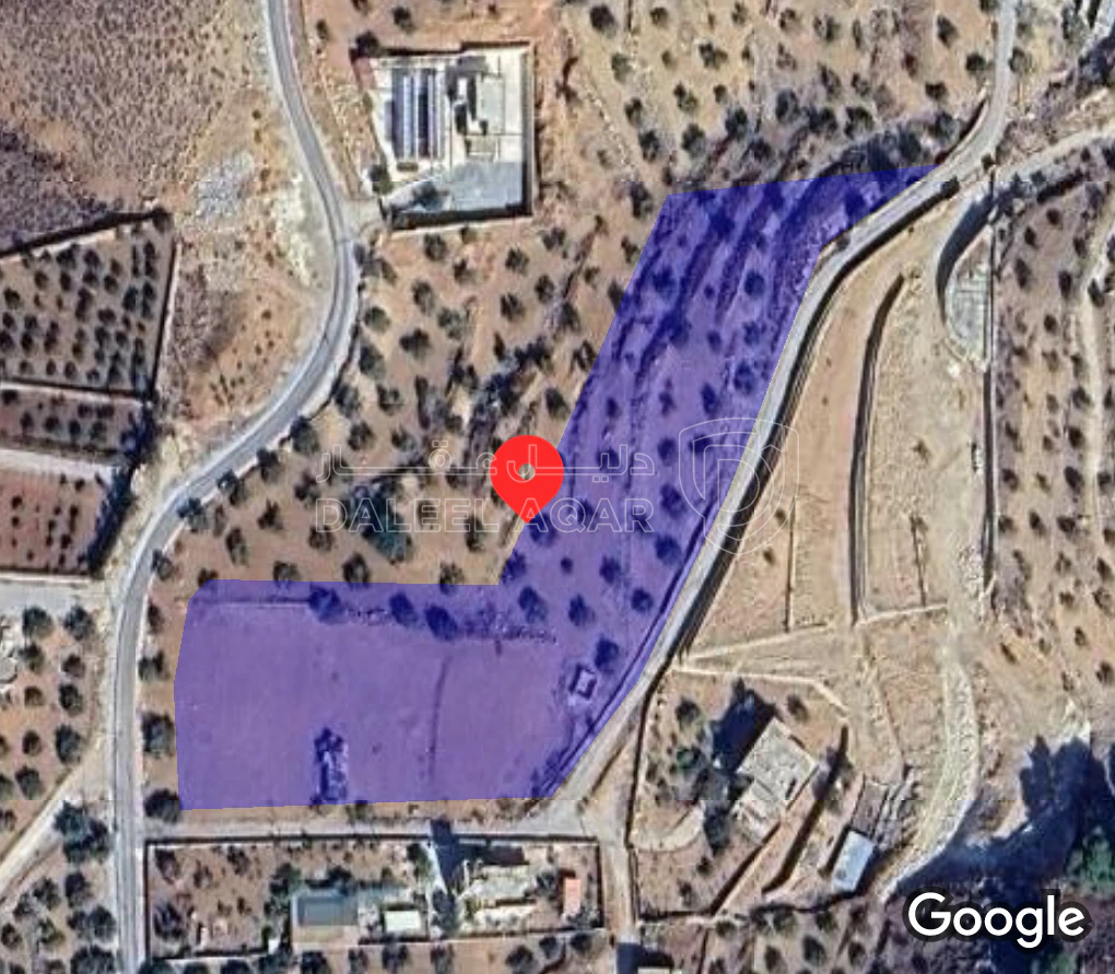 أرض في البطين الجنوبي  - 200,000 دأ - صورة 3