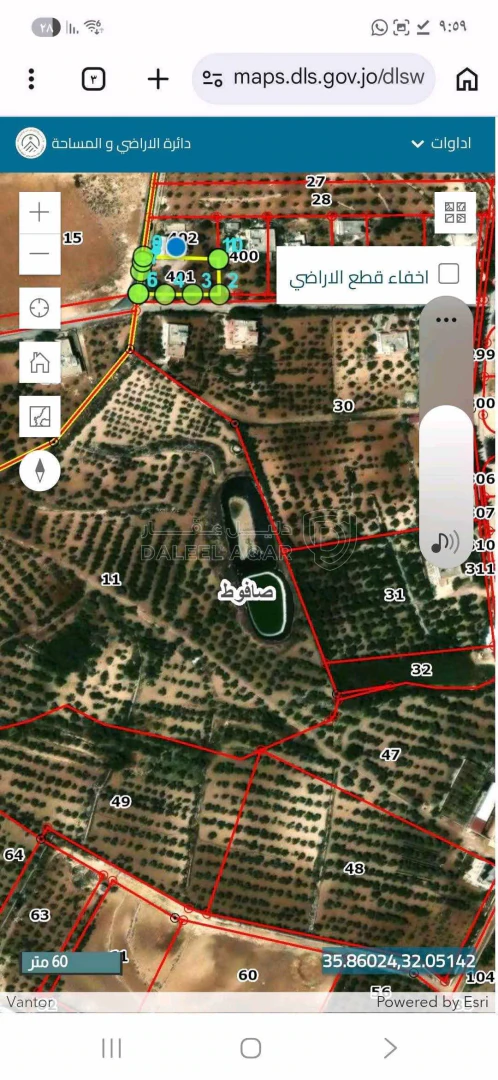 أرض في عمان ،صافوط،ابو مرهف الشمالي،شارع الاردن،حي يثرب - 150,000 دأ - صورة 1