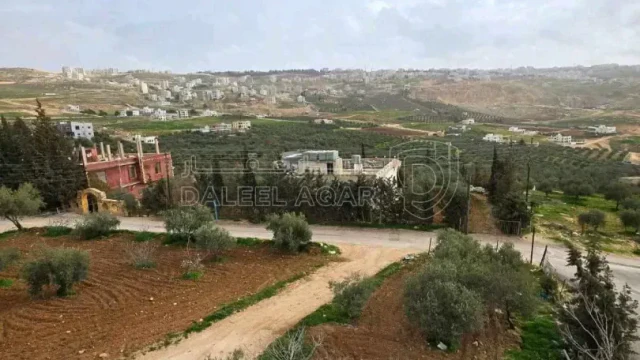 أرض - عمان ،صافوط،ابو مرهف الشمالي،شارع الاردن،حي يثرب - 150000 دأ