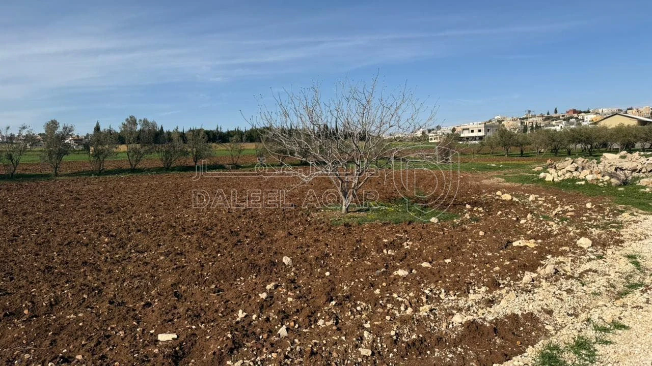 أرض في عمان ناعور طريق مادبا الغربي خلف بلدية حسبان - 79,000 دأ - صورة 1