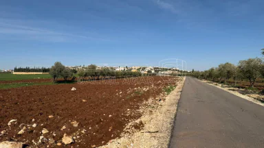أرض - عمان ناعور طريق مادبا الغربي خلف بلدية حسبان - 79000 دأ