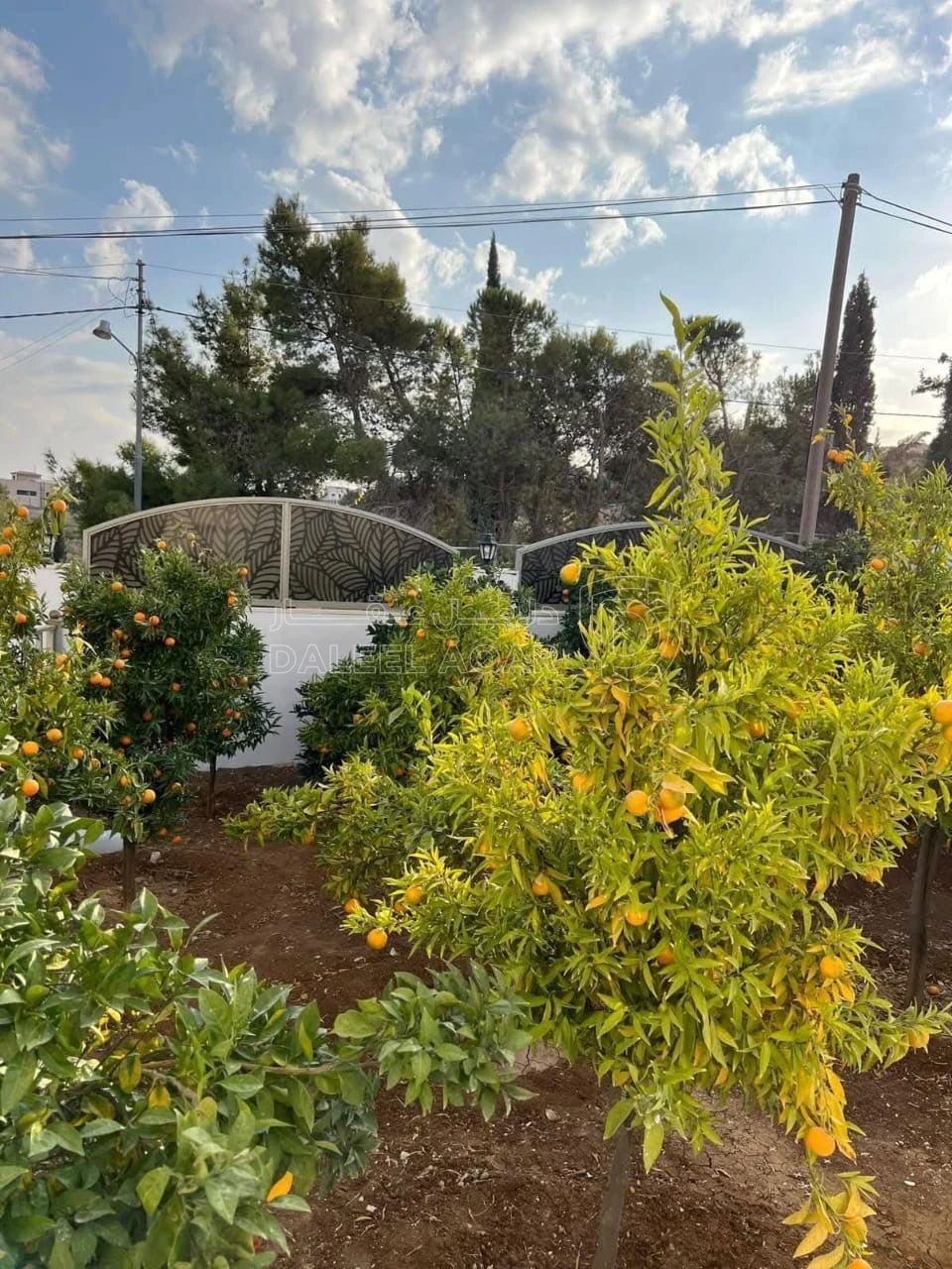 فيلا/منزل في عمان ناعور بالقرب من دار الدواء - 280,000 دأ - صورة 16