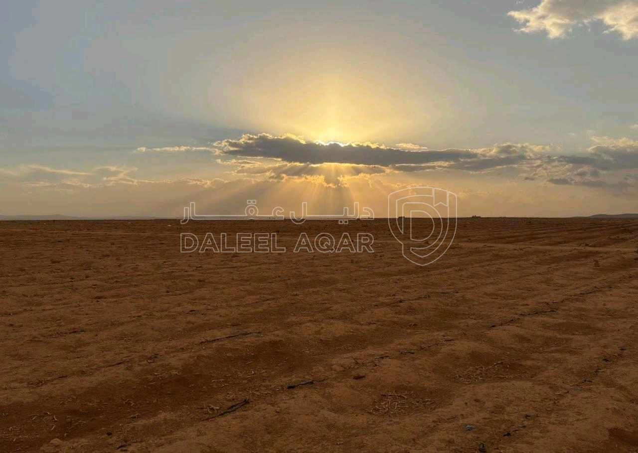 أرض في قطعة أرض 11 دونم في محافظة الزرقاء بكوشان مستقل - 7,300 دأ - صورة 1