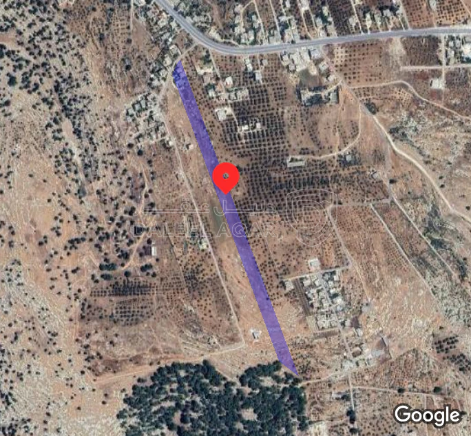 أرض في اربد بني كنانه حاتم منطقة البيرق - 20,000 دأ - صورة 1