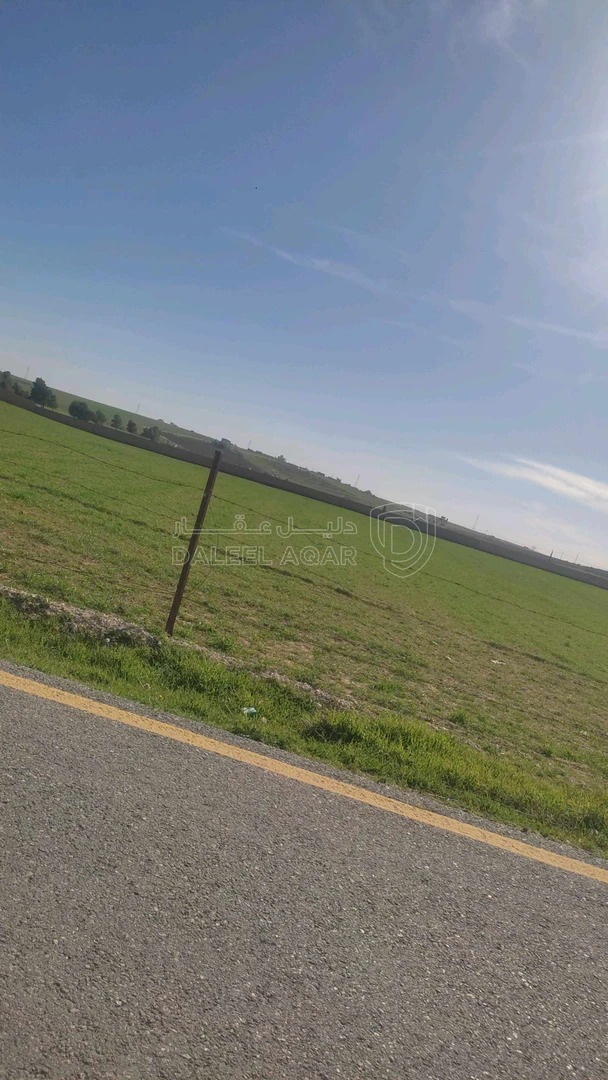 أرض في حواره التل الاخضر جنوب عمان  - 300,000 دأ - صورة 1