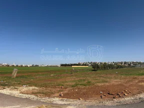 أرض - عمان ناعور طريق مادبا الغربي خلف بلدية حسبان - 66000 دأ