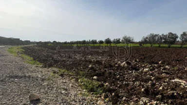 أرض في عمان ناعور طريق مادبا الغربي خلف بلدية حسبان - 66,000 دأ - صورة NaN