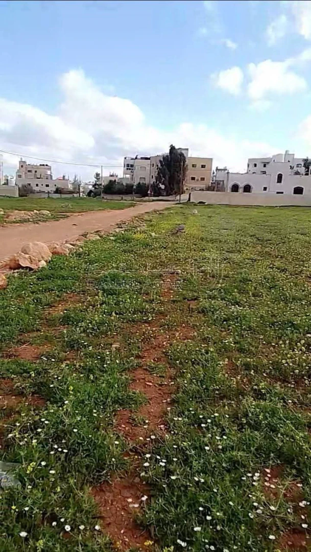 أرض في ارض للبيع مساحتها 531 عمق 28 واجهه 19 - 75,000 دأ - صورة 1