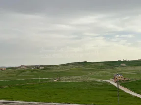 أرض في عمان / الموقر - 9,000 دأ - صورة NaN