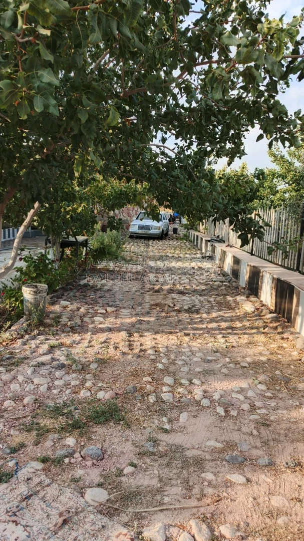 مزرعة/شاليه في الكرك أدر - 130,000 دأ - صورة 14