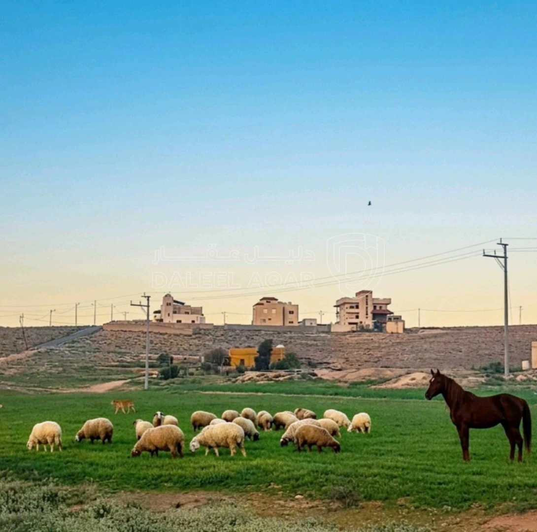 أرض في جنوب ثغرة الجب شرق سكة القطار - 50,000 دأ - صورة 1