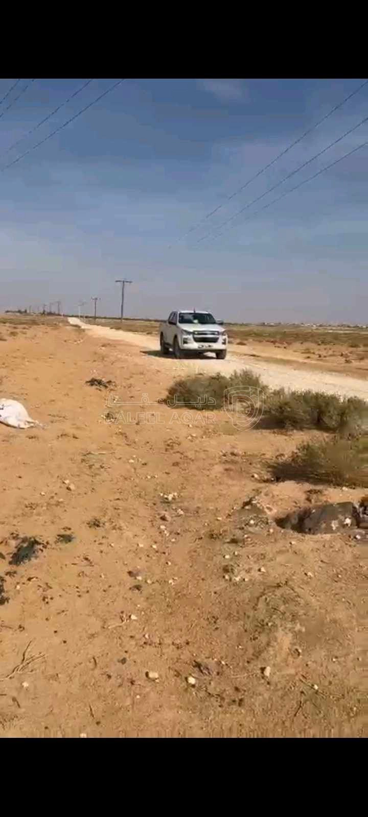 أرض في المفرق اراضي اليادية قرية ام الجمال  - 40,000 دأ - صورة 1