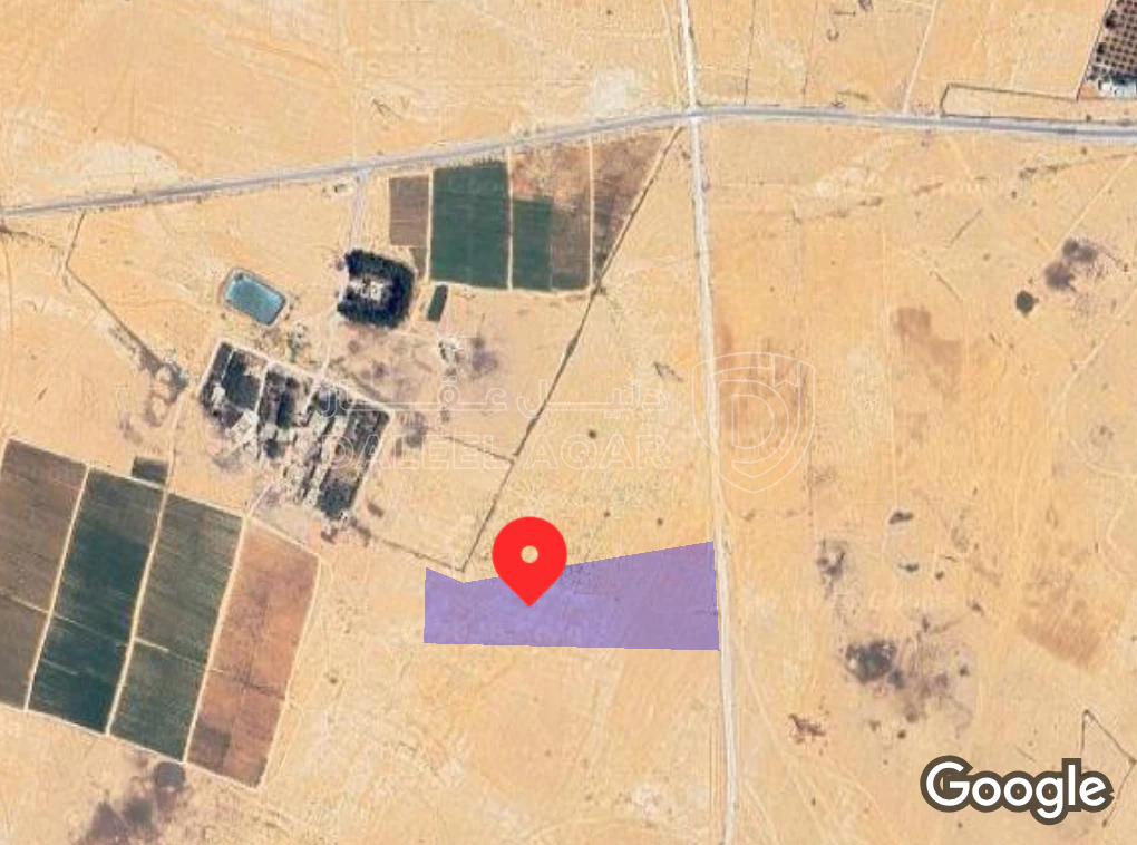 أرض في المفرق اراضي اليادية قرية ام الجمال  - 40,000 دأ - صورة 1