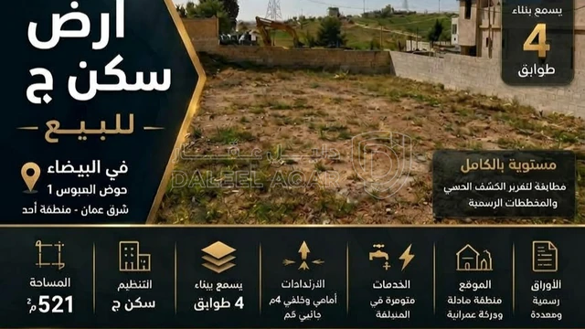 أرض - منطقة البيضاء أراضي شرق عمان / منطقة أحد - 33000 دأ