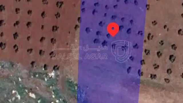 أرض في جرش المشيرفه  - 23,000 دأ - صورة 1