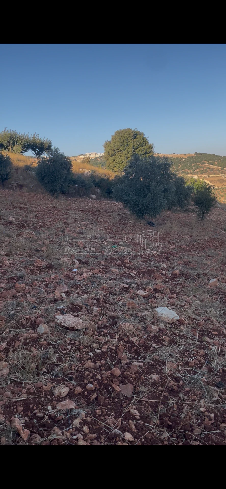 أرض في جرش منطقة جبال سوف - 15,000 دأ - صورة 3