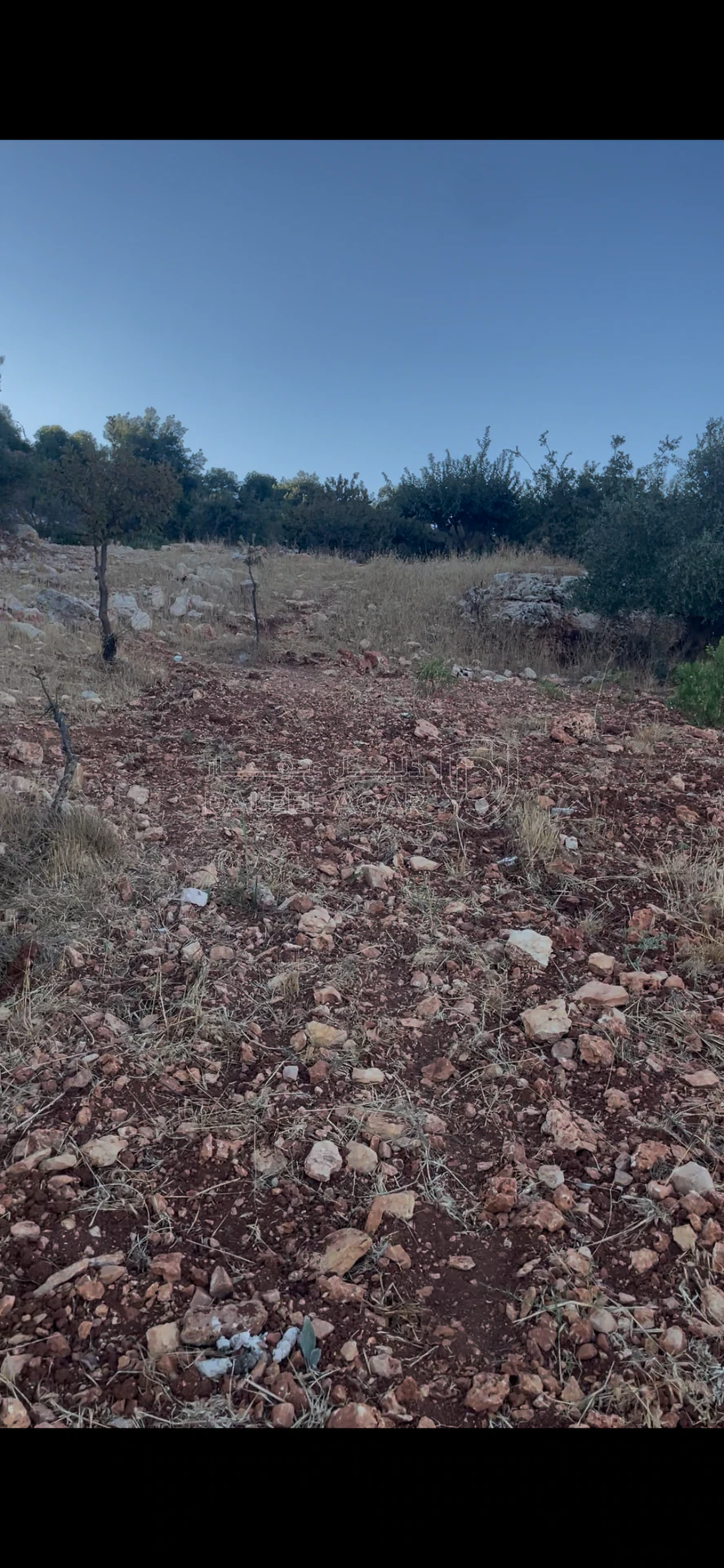 أرض في جرش منطقة جبال سوف - 15,000 دأ - صورة 6
