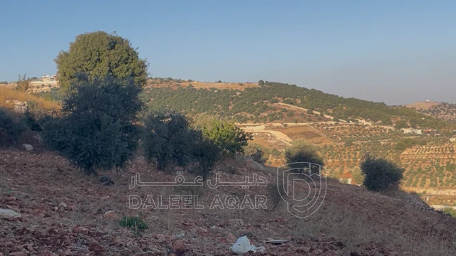 أرض في جرش منطقة جبال سوف - 15,000 دأ - صورة NaN