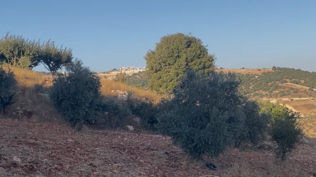 أرض في جرش منطقة جبال سوف - 15,000 دأ - صورة NaN