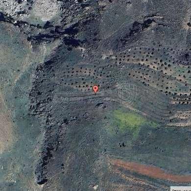 أرض في ارض للبيع في منطقة ماحص بمساحة ارض 750م - 65,000 دأ - صورة 1
