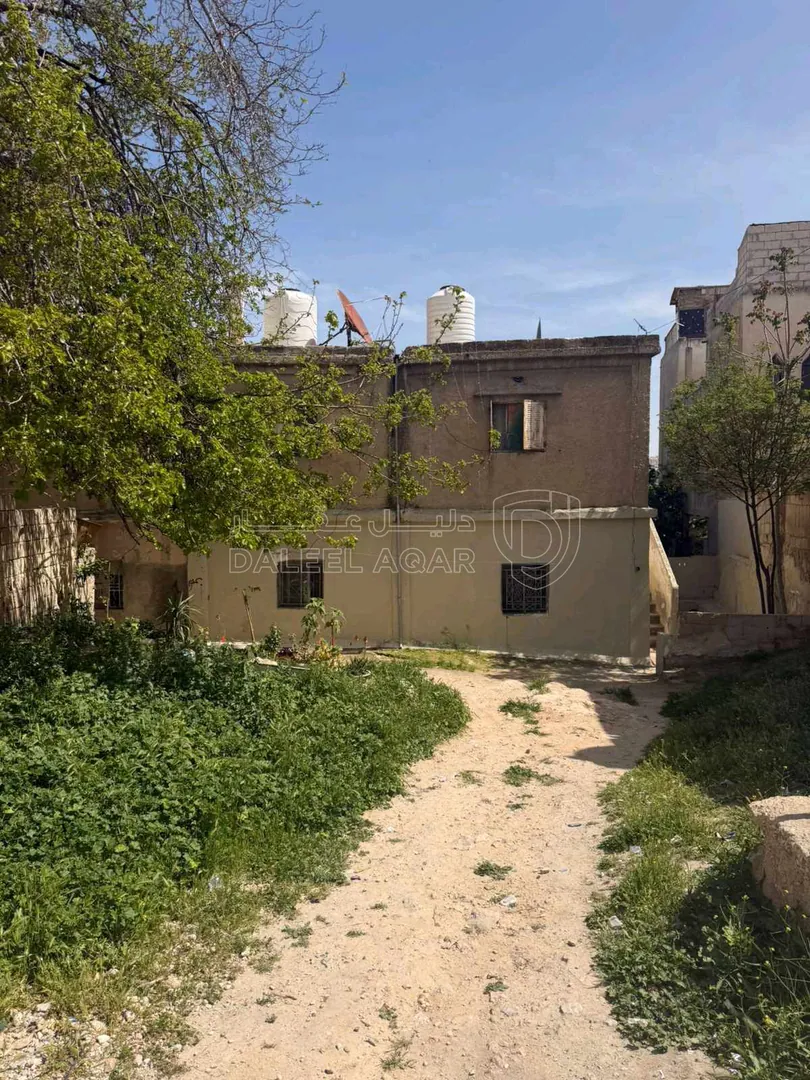 أرض في الهاشمي الشمالي قرب مدرسة دير اللاتين - 45,000 دأ - صورة 1