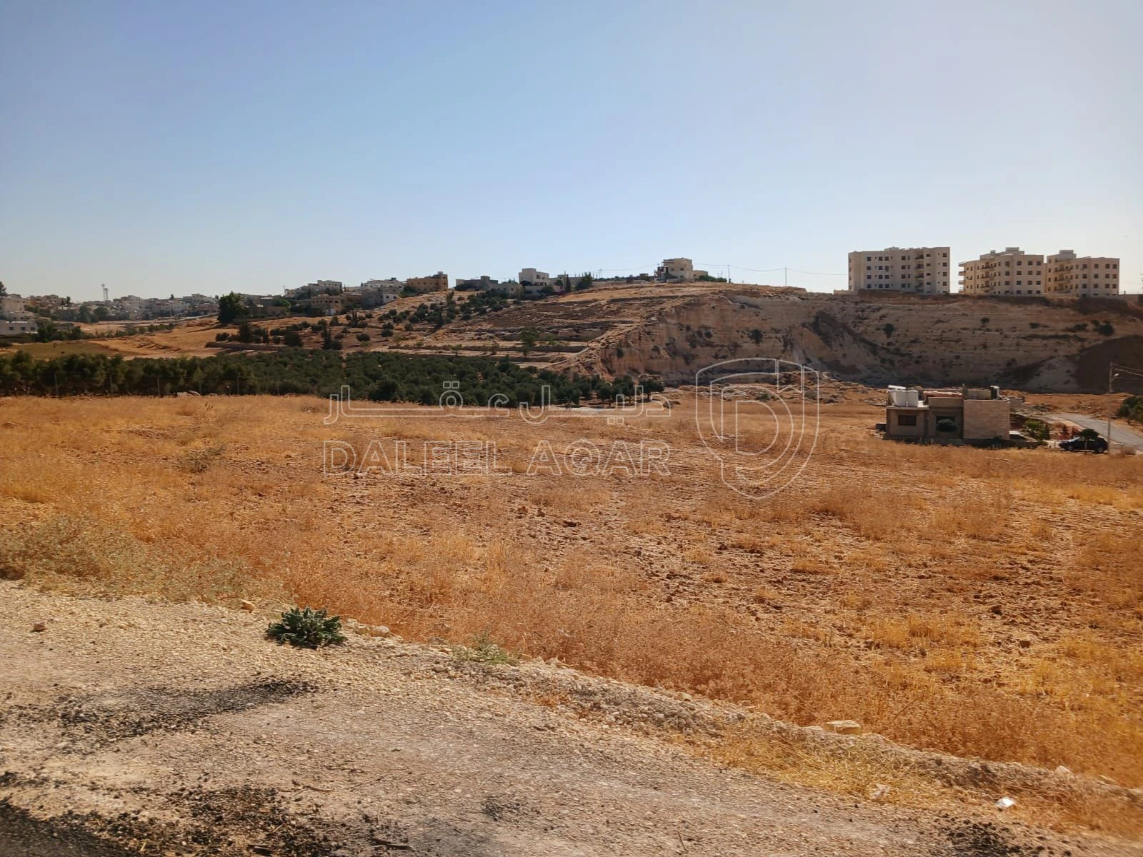 أرض في شار ع مادبا الغربي  - 55,000 دأ - صورة 5