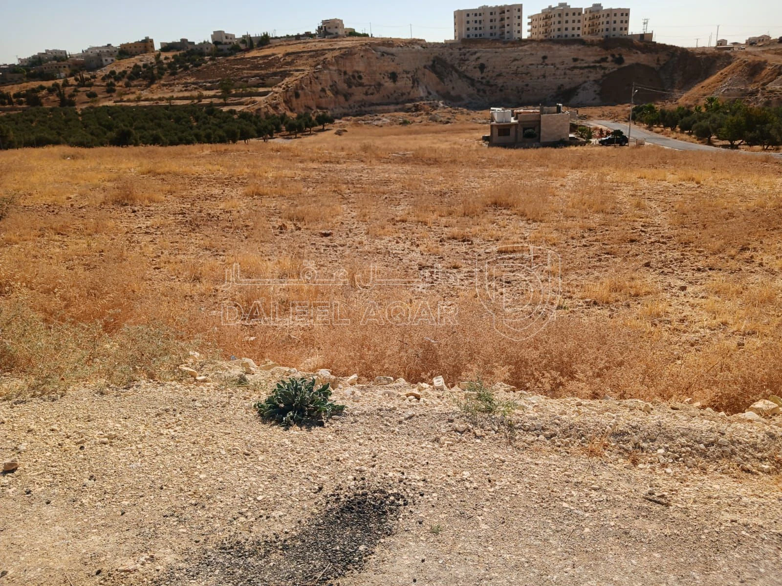 أرض في شار ع مادبا الغربي  - 55,000 دأ - صورة 17