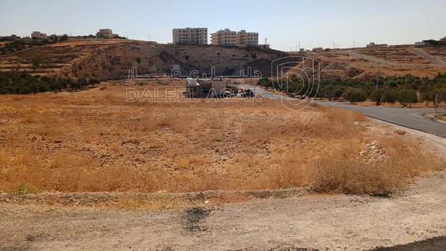 أرض في شار ع مادبا الغربي  - 55,000 دأ - صورة NaN
